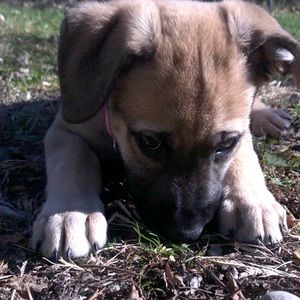 Meet your Posher, Rikki